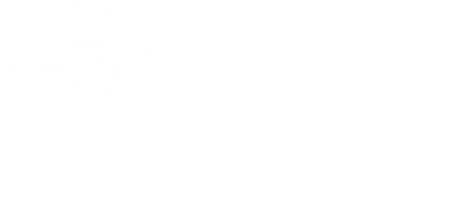 TMT Security